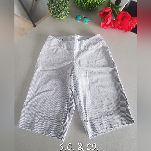 S.C. & CO. Beau bermudas rayé de couleur bleu-gris et blanc - Picture 1 of 8